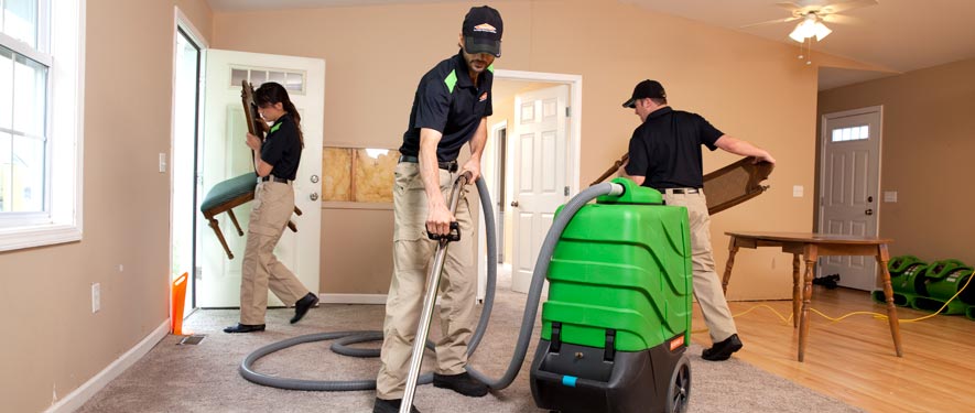 Festus, MO cleaning services